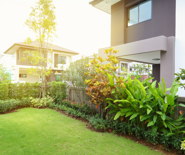 شركة تنسيق حدائق